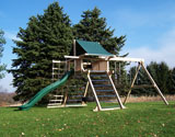Huge Cedar Swing Set